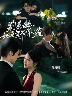 别惹她,她是贺爷掌心雀(69集) 别惹她,她是贺爷掌心雀(69集)好看吗