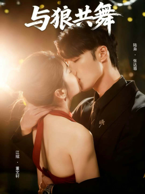 与狼共舞(60集) 与狼共舞(60集)真的太好看了