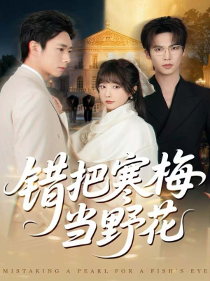 错把寒梅当野花(60集) 错把寒梅当野花(60集)真的好看吗
