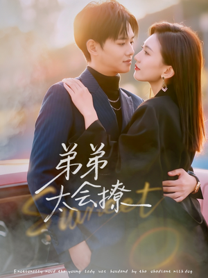 弟弟太会撩(81集) 弟弟太会撩(81集)精彩的网络短剧