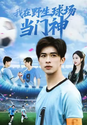 我在野生球场当门神(31集) 我在野生球场当门神(31集)在线看