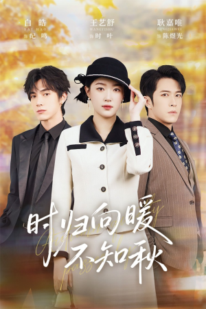 时归向暖不知秋（51集）精彩短剧热播